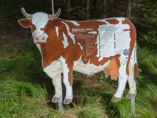 Schild in Kuhform mit "Bläuhnkuh Alma Gen-Soja versus Alma" und Infos zu Landwirtschaft und Klimawandel