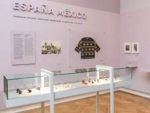 Ausstellungsraum mit rosa Wänden, Glasvitrine mit Artefakten, Kleid und Fotos