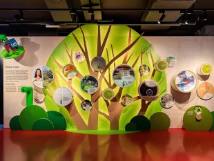 Ausstellungsbereich im Infocenter U2/U5 mit baumförmigem Display zu Klimaschutzprojekten der Wiener Linien, inkl. Photovoltaik, Blumenwiesen und Paketzustellung