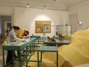 Zwei Personen an grünen Tischen mit Glasplatten, ein Landschaftsgemälde an der Wand, Vitrine mit Tierpräparaten und gelbe wellenförmige Kulisse