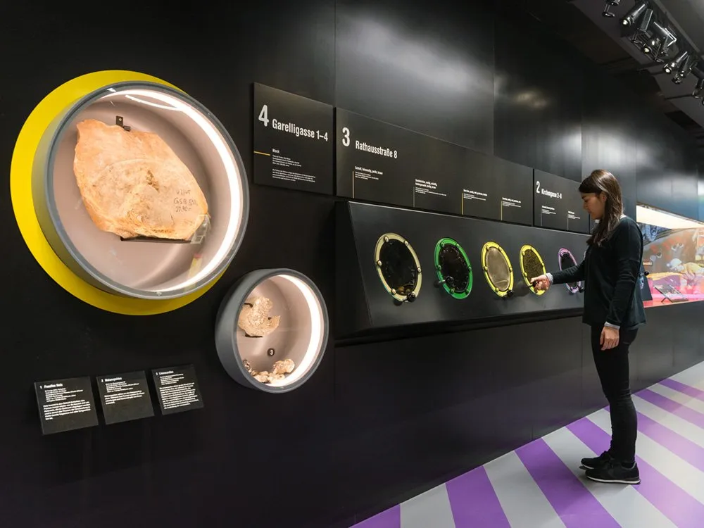 Ausstellungsraum: Person betrachtet Ausstellungsstücke, darunter ein großes Fossil in einem gelben Rahmen und mehrere runde Displays mit bunten Rändern