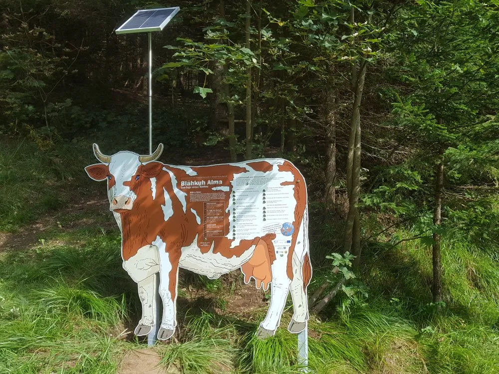 Kuhfigur mit Solarmodul darüber, aufgestellt in waldiger Umgebung