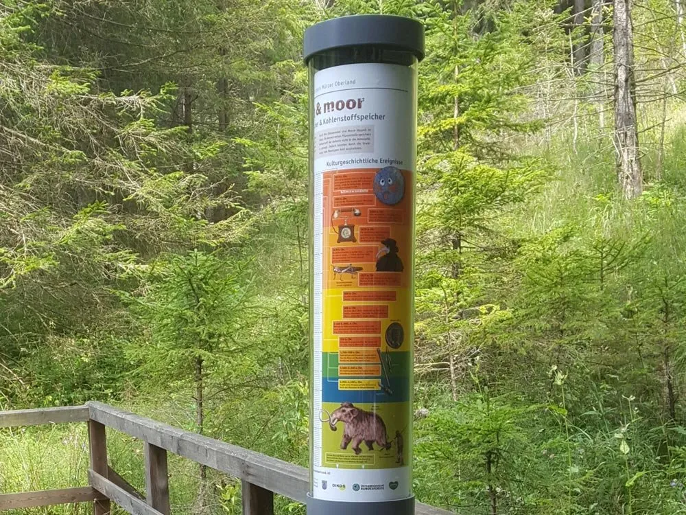 Zylindrischer Infoständer mit "Moor & Kohlenstoffspeicher" und Bildern von Tieren