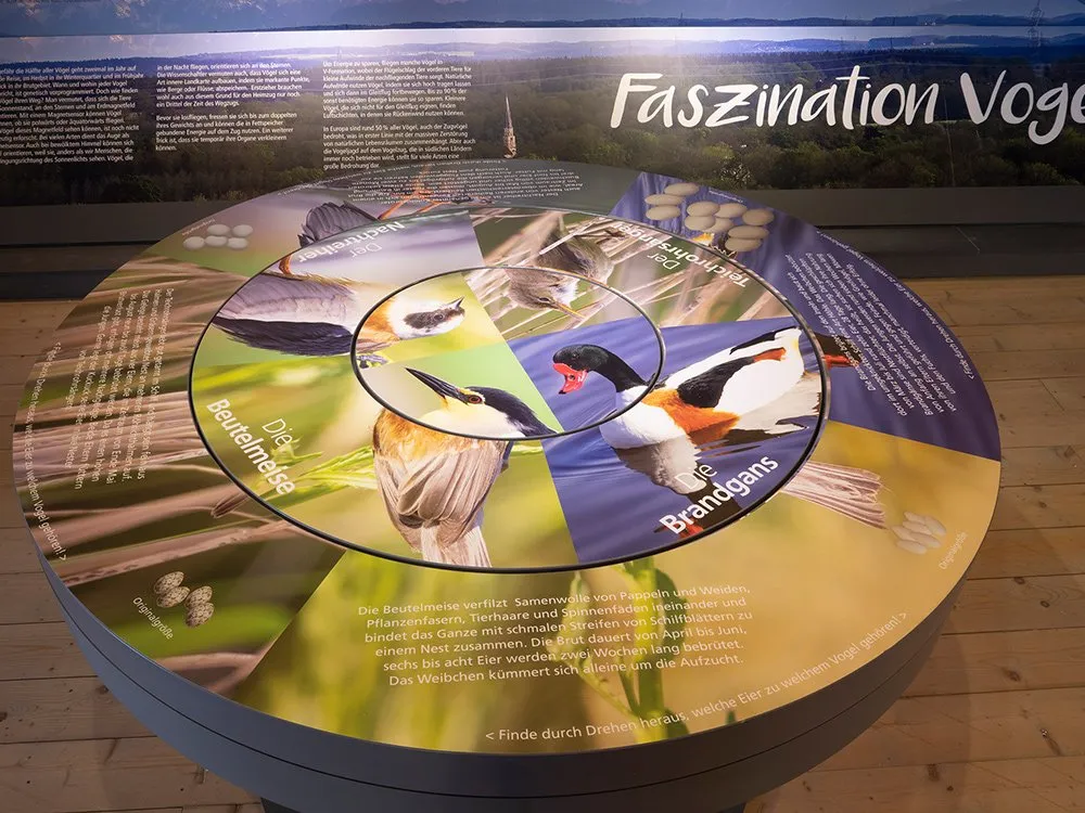 Runder Tisch zeigt Vogelarten wie Beutelmeise, Brandgans und andere mit Infos zu Brut und Vogelzug
