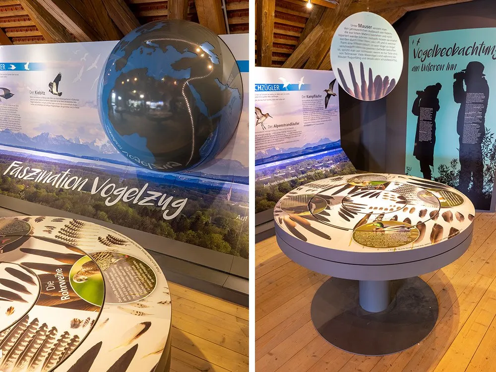 Zweiteiliges Bild. Links: Globus mit Zugvogelrouten und Infos zu Kiebitz, alpine Kulisse; Rechts: Interaktiver Tisch mit Federn, Infos zu Rohr und Tipps zur Vogelbeobachtung am Unteren Inn