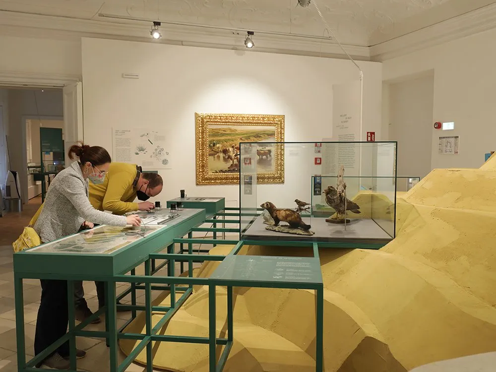 Zwei Personen an grünen Tischen mit Glasplatten, ein Landschaftsgemälde an der Wand, Vitrine mit Tierpräparaten und gelbe wellenförmige Kulisse
