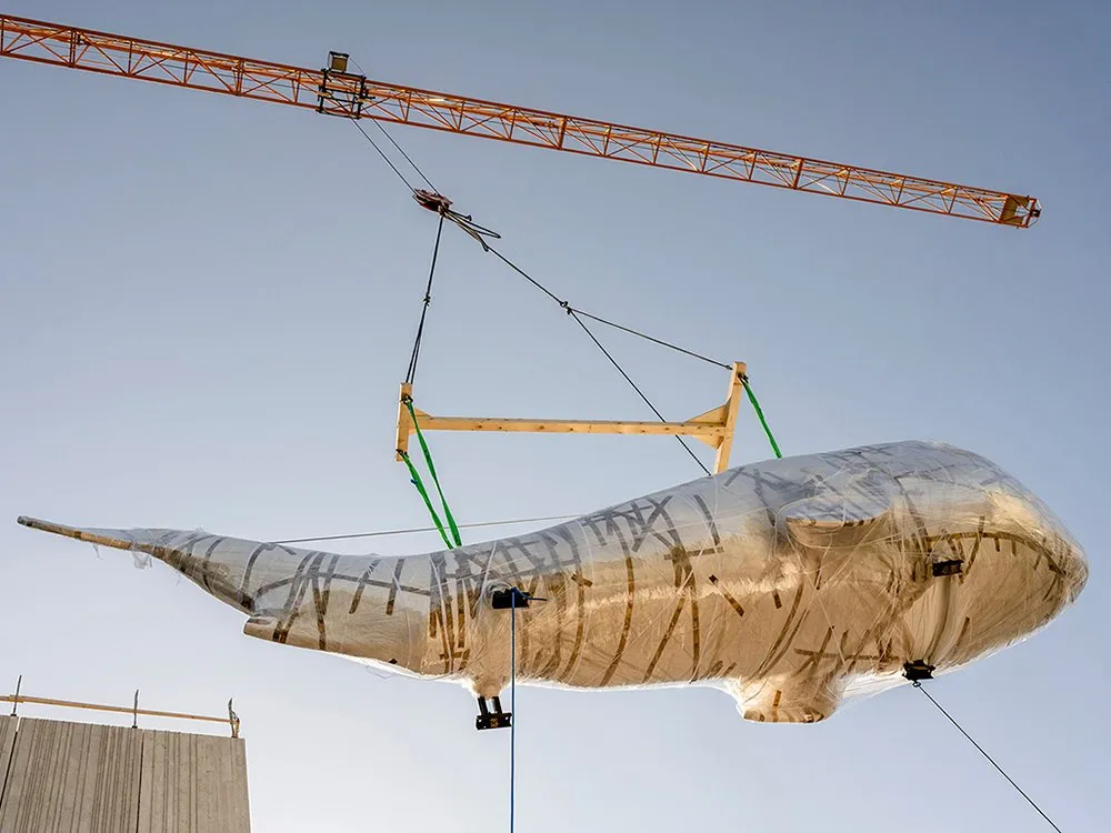 Der Praterwal „Poldi“ wird mit einem Kran gehoben, eingewickelt in Folie und gesichert mit Holzrahmen.