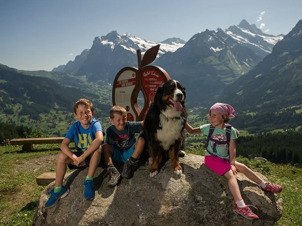 Drei Kinder sitzen mit einem Berner Sennenhund auf einem Felsen vor einem apfelförmigen Schild