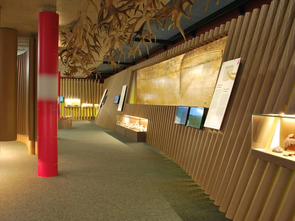 moderner Ausstellungsraum mit hölzernen Wänden, Geweihen an der Decke, Vitrinen mit Exponaten und Informationsschildern