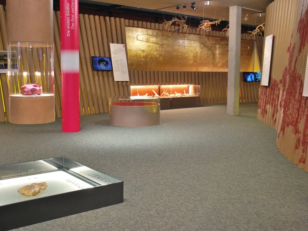 Ausstellungsraum: Vitrinen mit Fossilien, einem großen goldenen Wandrelief und hängenden Geweihen