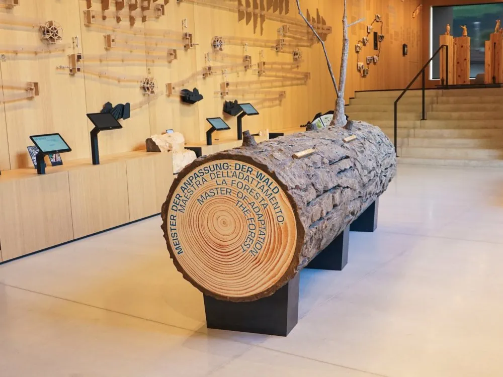 Ein großer Baumstamm mit Jahresringen und Beschriftung "Meister der Anpassung: Der Wald" im Zentrum eines Raums, umgeben von Ausstellungsflächen mit Touchscreens und Holzskulpturen an der Wand