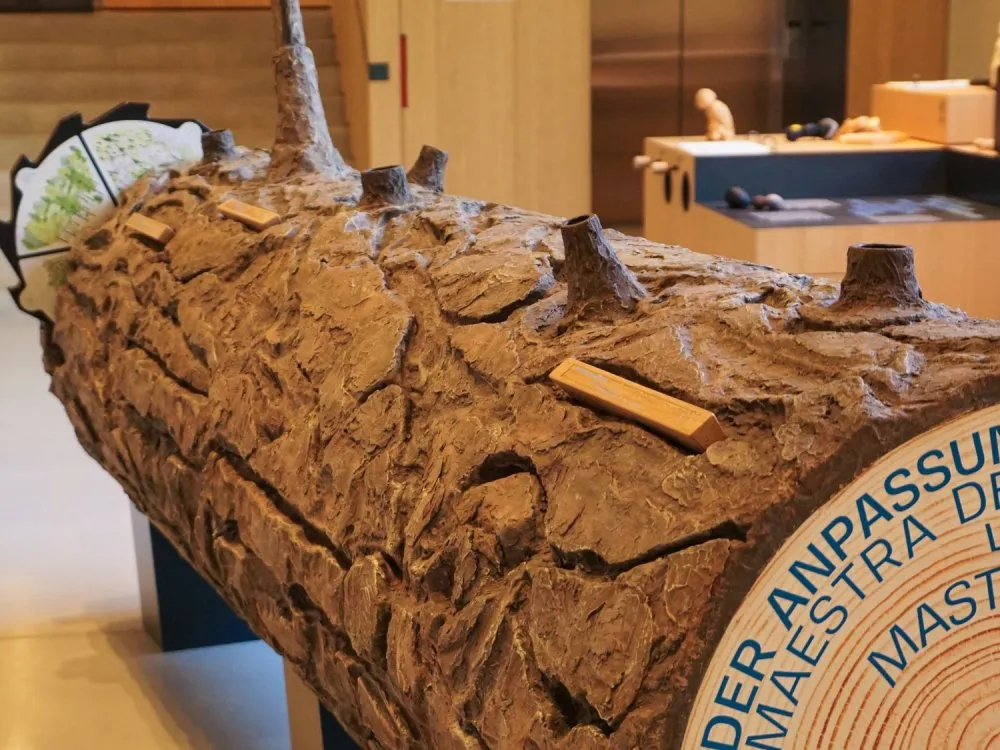 Baumstamm mit texturierter Rinde, dekoriert mit kleinen Stumpf-Elementen und einem Blattabschnitt, vor einer Holztreppe und Ausstellungsregalen