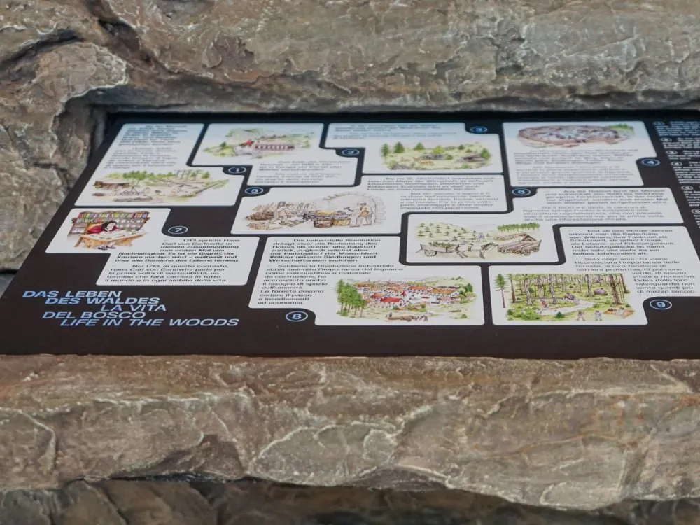 Infotafel mit Illustrationen und Texten über das Leben im Wald, eingebettet in einen steinernen Rahmen, mit der Überschrift "Das Leben des Waldes"
