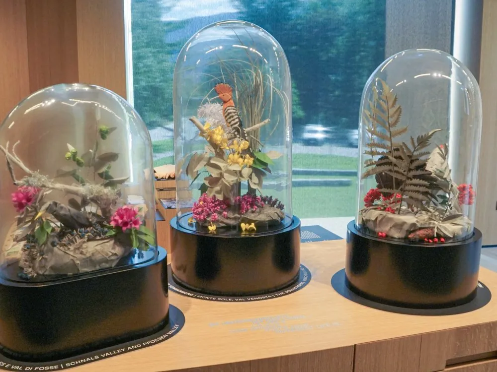 Drei Glasglocken mit naturgetreuen Pappmaché-Nachbildungen von Pflanzen, Vögeln und Landschaften, aufgestellt auf einem Holztisch mit Beschriftungen.