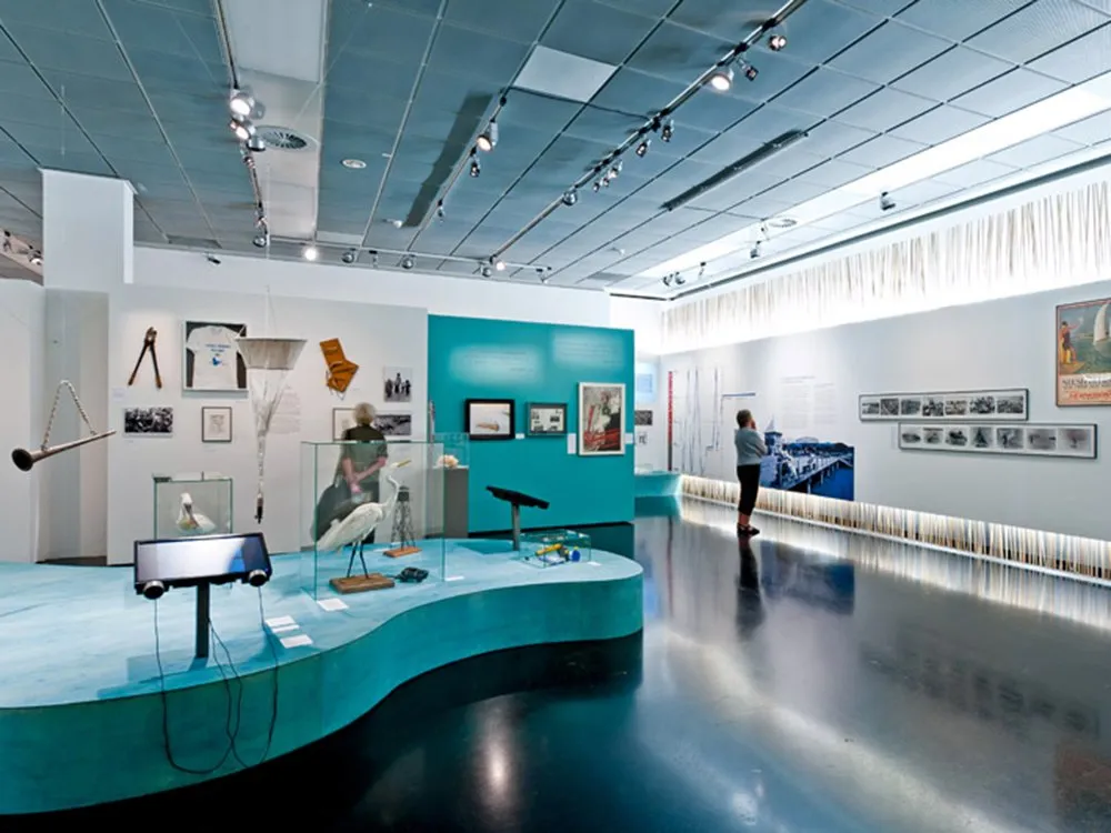 Ausstellungsraum mit einer blauen Plattform, verschiedene Vögel in Vitrinen und andere Objekte