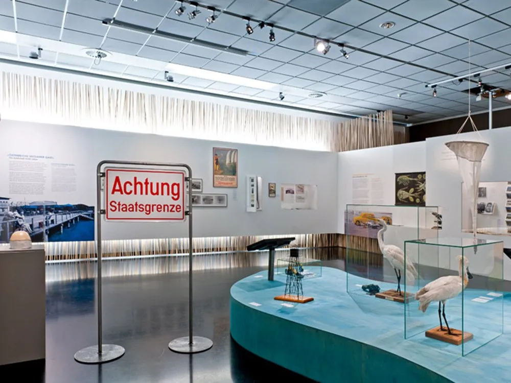 Ausstellungsraum mit einer blauen Plattform, die Modelle von Vögeln und andere Objekte zeigt, sowie einem Schild "Achtung Staatsgrenze"